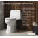 Santa Rosa Comfort Height One-Piece Compact Elongated 1.28 Gpf Toilet With Revolution 360 Swirl Flushing Technology And Continuousclean St