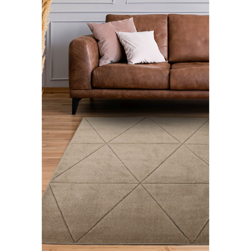 Takaiyah Oriental Area Rug, Rectangle 80 x 150cm
