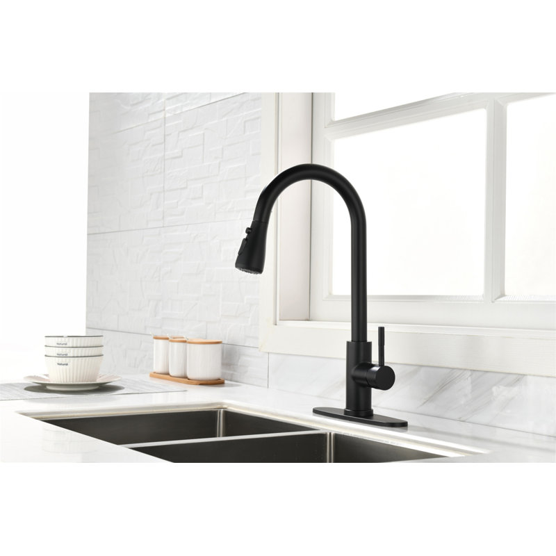 Kitchen Faucet With Pull Out Spraye