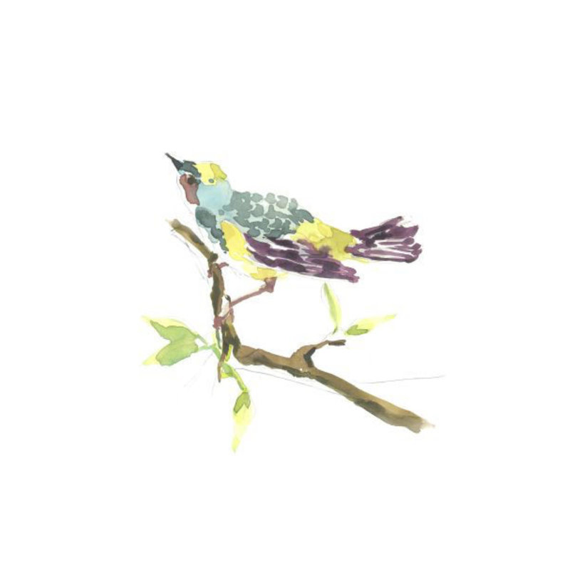 Myrtle Warbler Painting by Fern Cassidy, Knife Gel, 46" H x 36" W