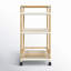 Tobias Outdoor 3- Tier Rattan and Metal Bar Cart-697499616