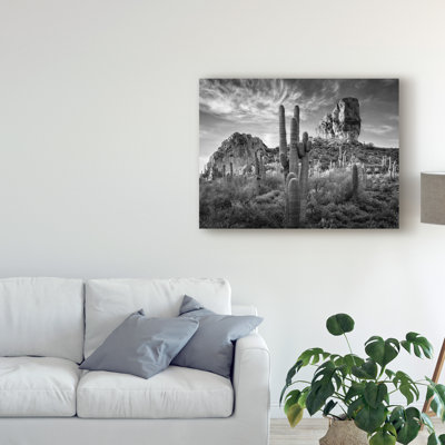 Modern & Contemporary