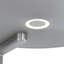 Tasoula 185cm LED Torchiere Floor Lamp-1925427