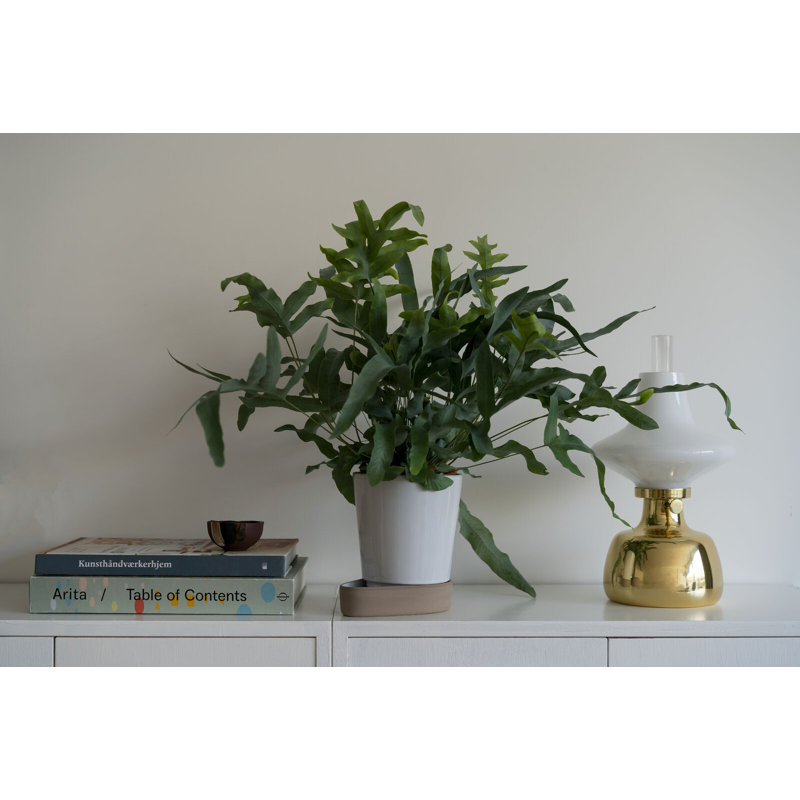 Sip Planter, White