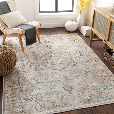 Kemer Machine Washable Traditionnal Boho Area Rug