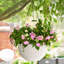 Medium Plastic Rattan Hanging Planter-1253944988