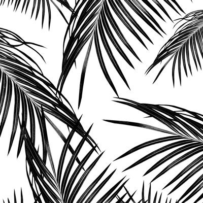 Rêve de feuilles de palmier noir 1