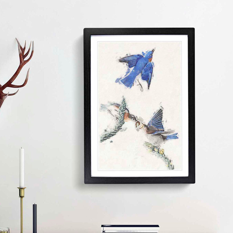 Bluebirds by John Audubon - Picture Frame Painting Print, 36cm H x 27cm W x 2cm D, Black Framed