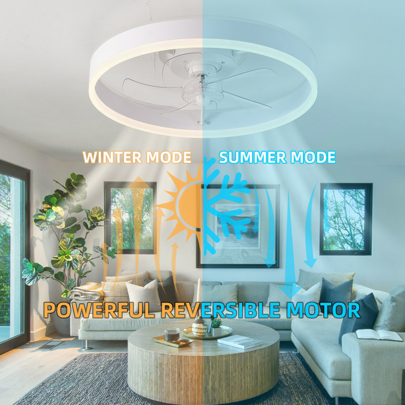 19.7 inches fan light RGB colour lights three colour temperature 6-speed adjustable wind power positive and negative rotation