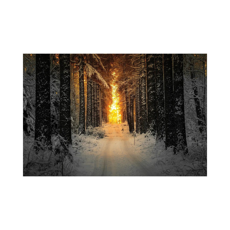 Golden Winter Light by Lauri Lohi - Wrapped Canvas Print, 20.32 cm H x 30.48 cm W