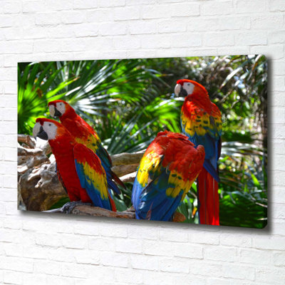 Macaw Parrots - Wrapped Canvas Print