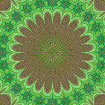 Oriental Indoor Rug