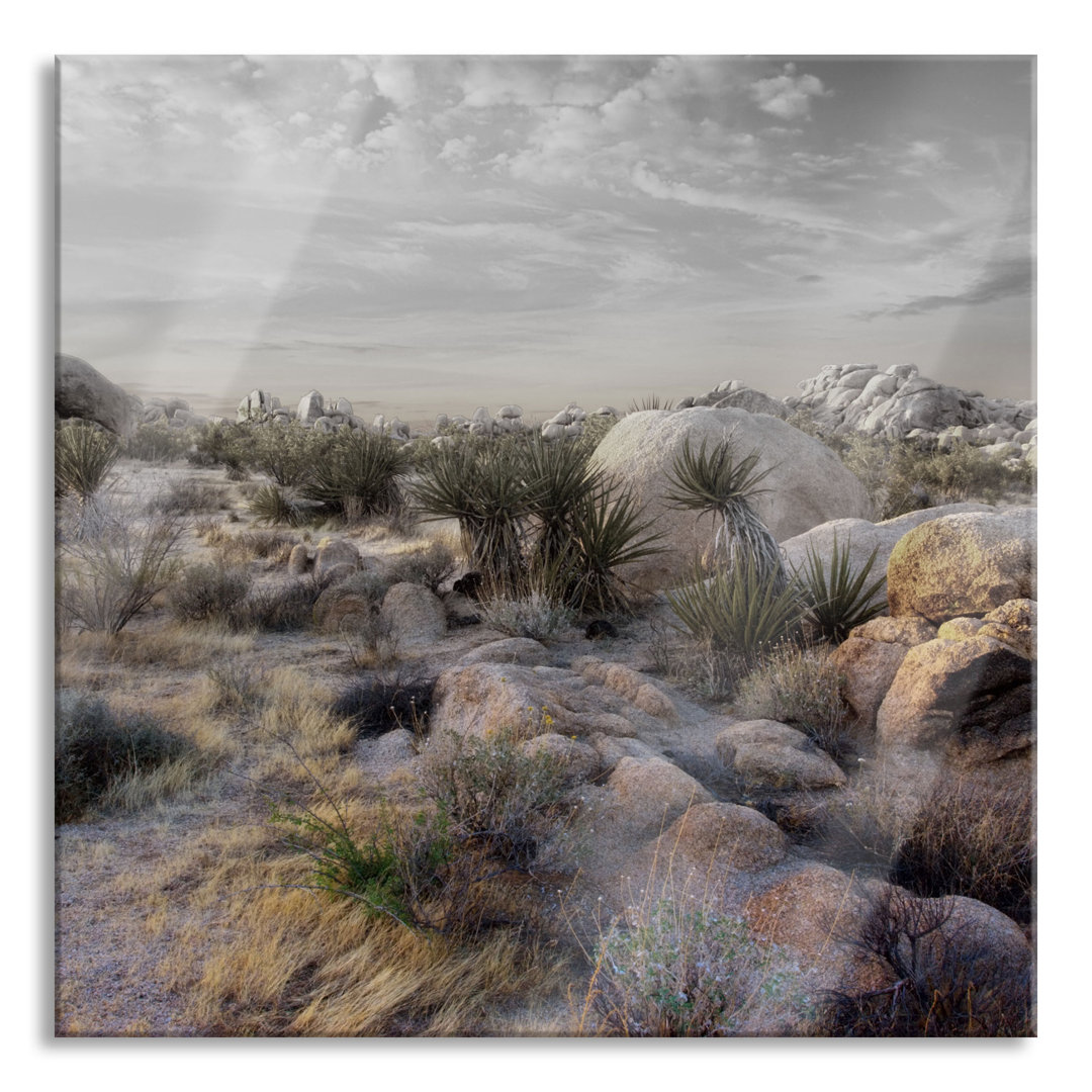 Ungerahmtes Foto auf Glas "Joshua Desert at Sunset"