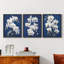 Floral Study Series LVI -Set de 3 estampes numériques giclées -Prêt à accrocher-107268362-107268366