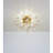 Flush Mount Ceiling Light