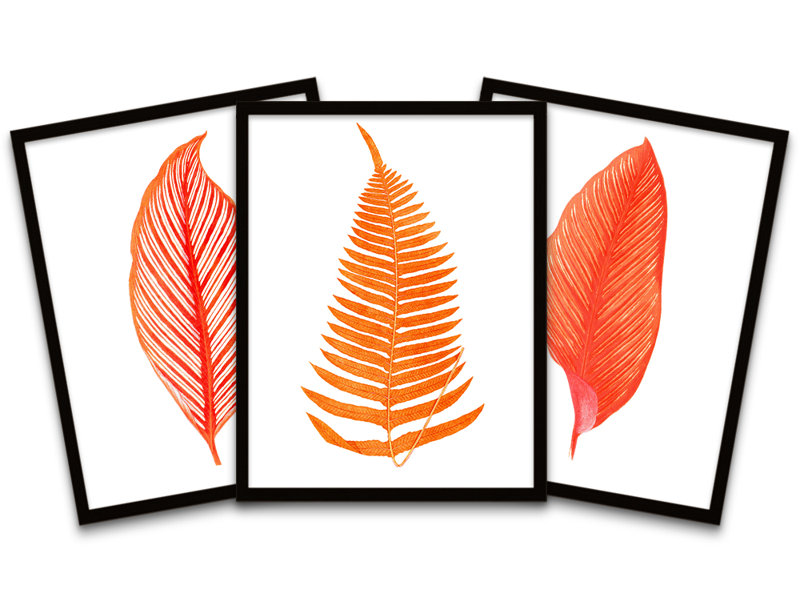 Botanics Leaves Ferns 3 Piece Single Picture Frame and Floater Frame Wall Art