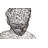 Crazy Wire Weather Resistant Metal Garden Statue