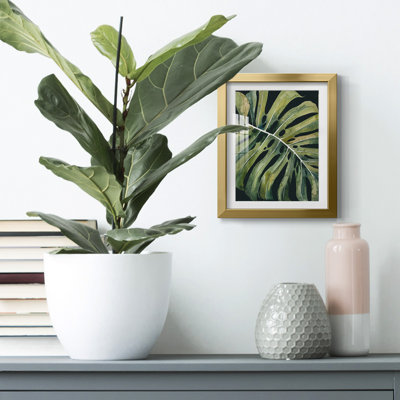 Nosturnal Monstera I