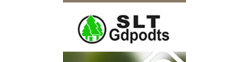 Qingdao Stone Rubber Products Co., Ltd. logo