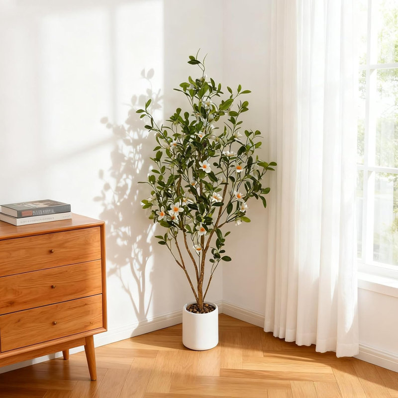 120cm Plant