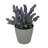 Bamboo Blooms 7" Gray Round Self-Watering Indoor/Outdoor Bamboo Plant Pot