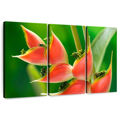 Fleur Harnek Heliconia