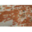 Tapis oriental moderne à imprimé nature 4 x 6