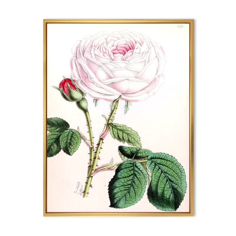 Fleur rose rétro - peinture sur toile, H 40 po x l 30 po x 1,5 po, Cadre flottant doré