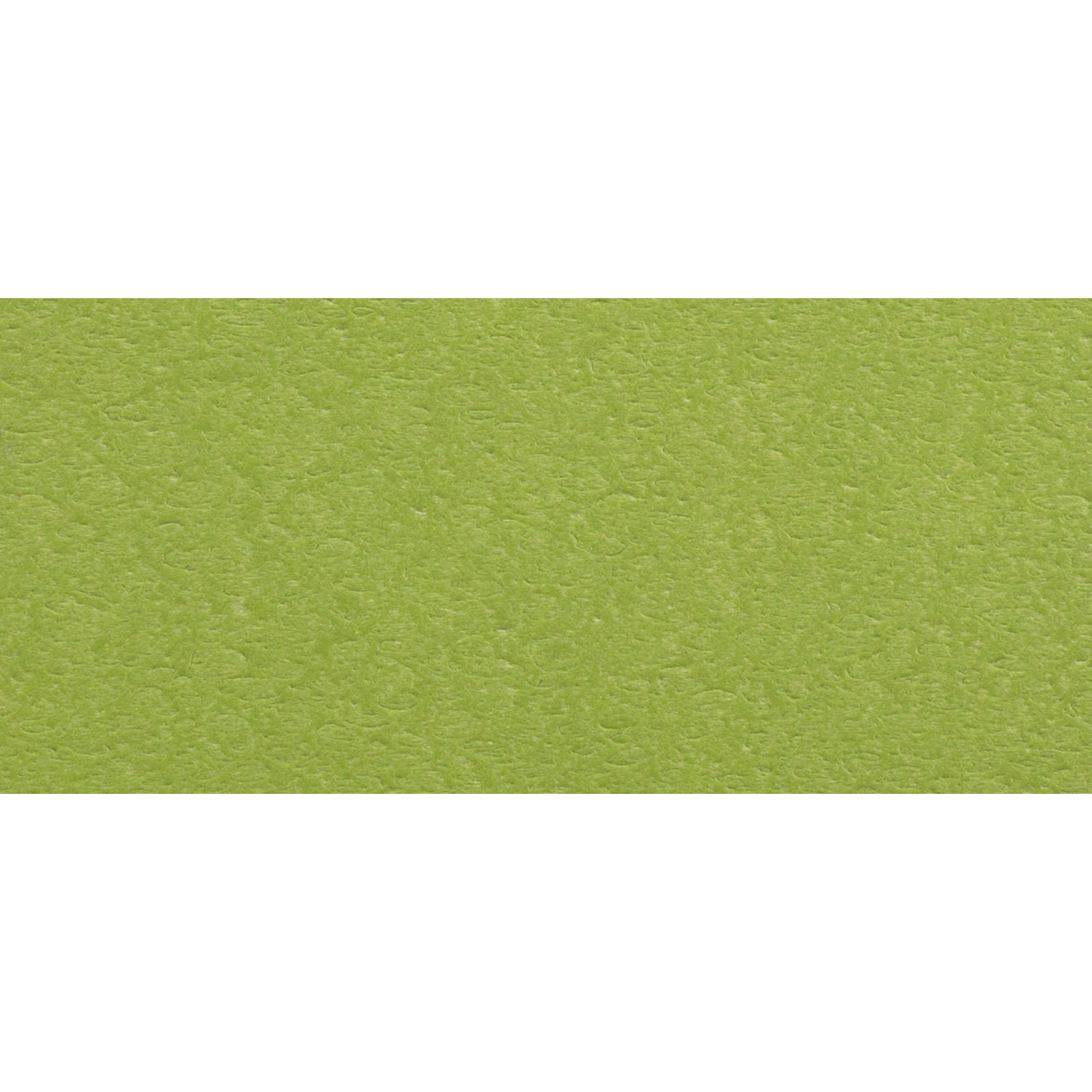POLYWOOD South Beach Outdoor Adirondack Chair, Green