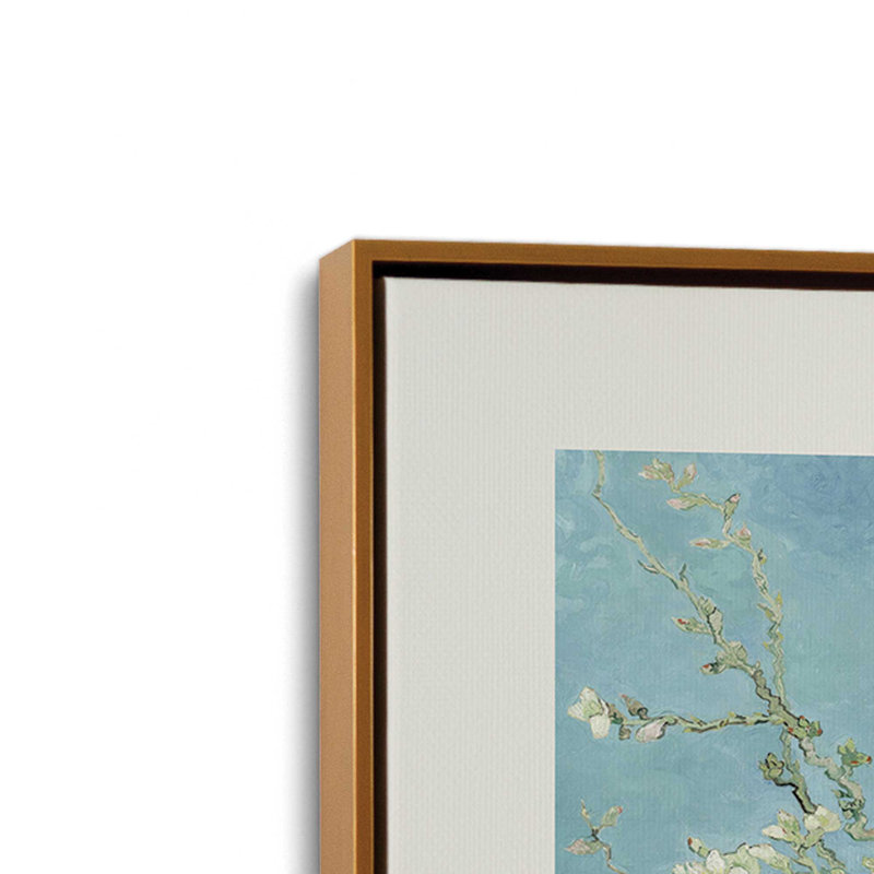 Van Gogh's Ammond Blossom v2, H 8,75 po x l 12,75 po, Cadre flottant or poli