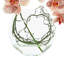 Orchid and Vine Arrangement in Vase