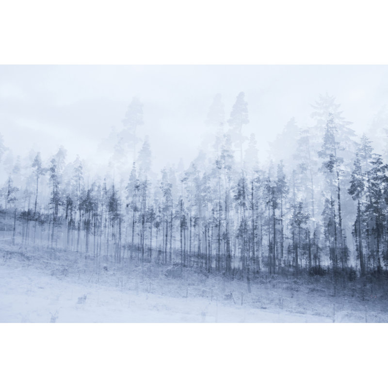 Winter Trees Print