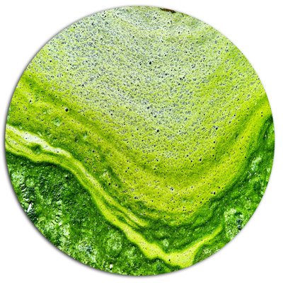 " Polluted Water With Algae In Green "