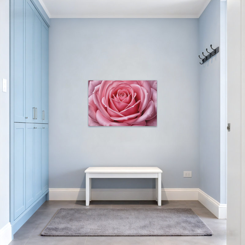Plantes et fleurs, rose, gros plan, motif floral, H 24 po x l 36 po