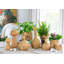 Garden Floral Votive Candle Holder