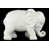 Blanc est en rupture de stock