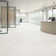 Literary License 12'' W x 12'' L Porcelain Concrete Look Singular Tile
