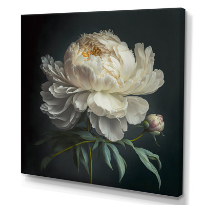 Blooming White Peony V - Peony Wall Art