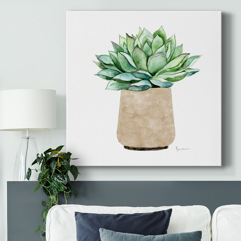 Cactus neutre III, impression sur toile, H 32 po x l 32 po