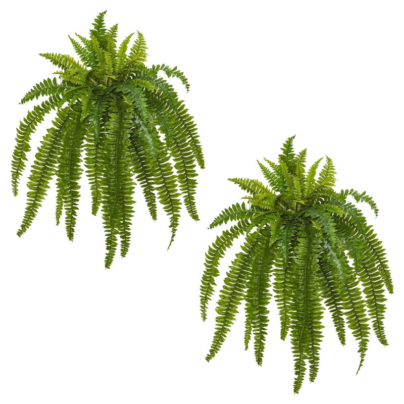 Boston Fern Artificial Plant (Set of 2)