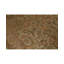 Oriental Area Rug in Camel/Green/Rust