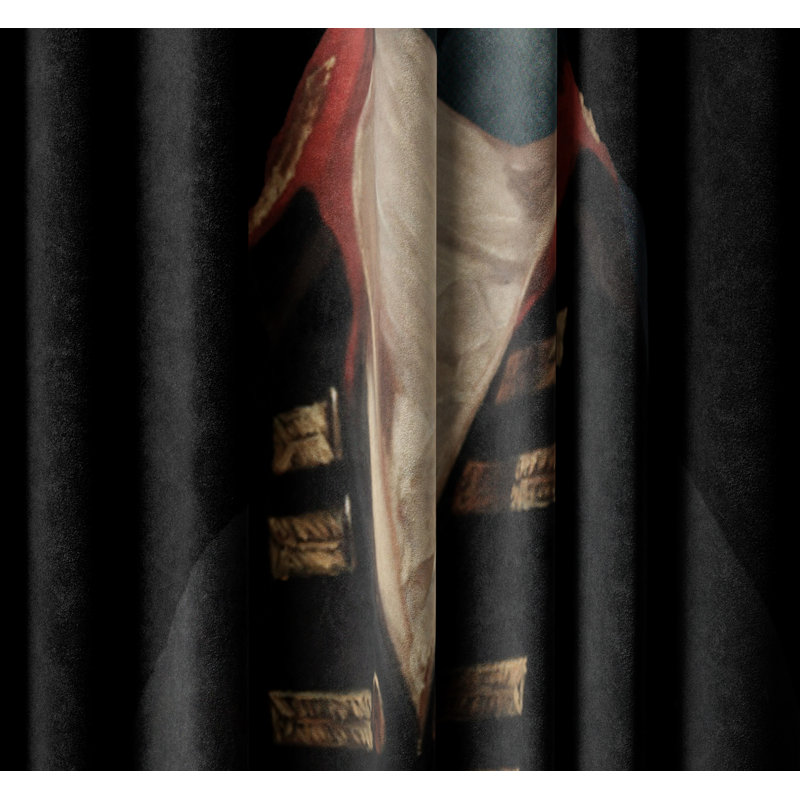 Irvinson Velvet Blackout Curtain Panel Pair, 145 W x 250 D cm