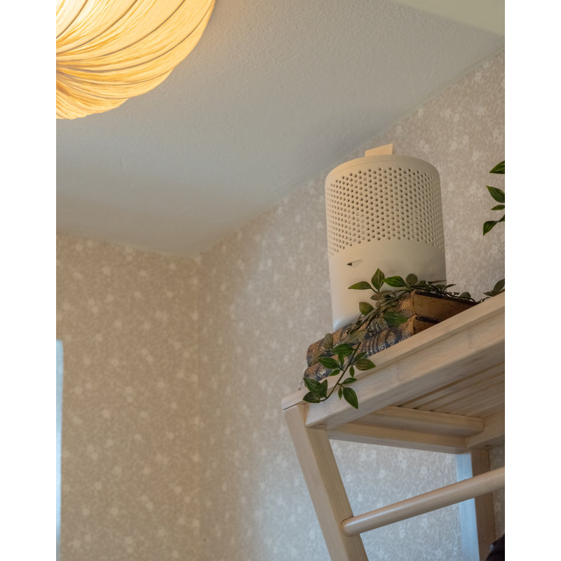 Absodry by Torrbollen Series 6 White EN