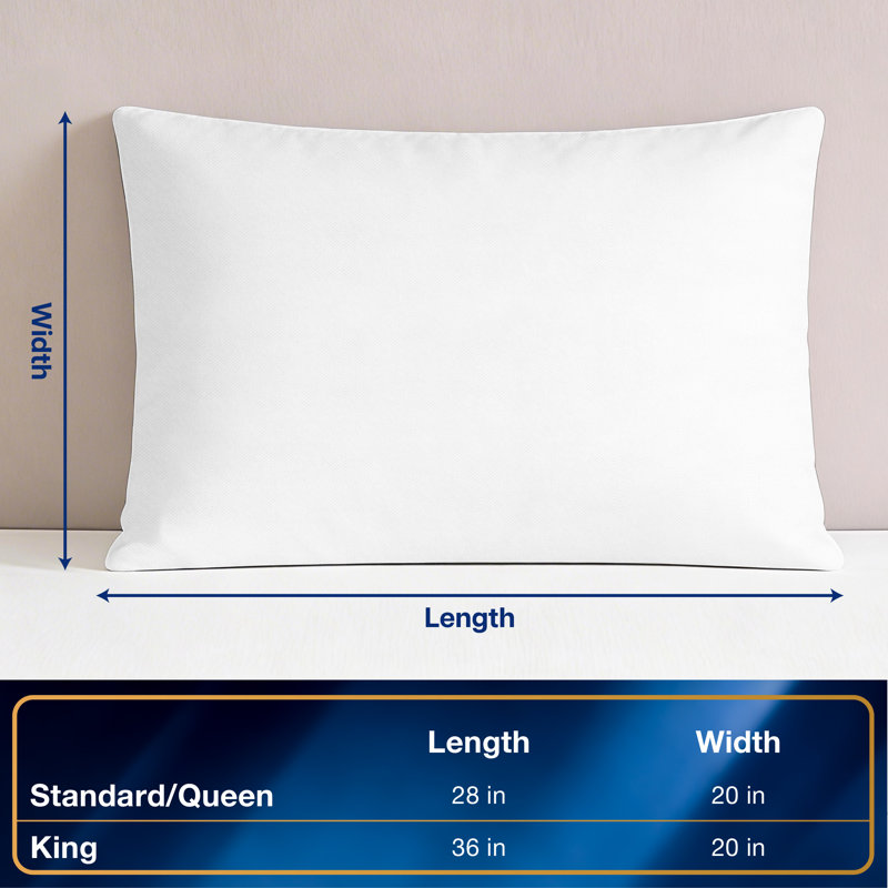 All-in-One Bed Bug Blocker® Pillow Protector, 2-Pack, Full / Queen