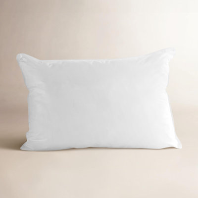 Down Plush Pillow