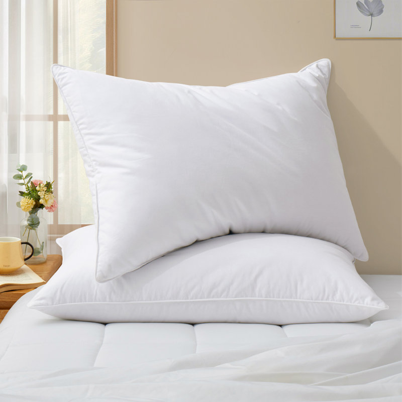 Insert de coussin réversible , H 20 po x l 26 po