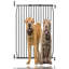 Waynesfield Metal Pet Gate Accessory-1542282184-1542282185