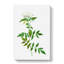 Jasmine Flowers by Pierre-Joseph Redoute - Wrapped Canvas Painting-55362420