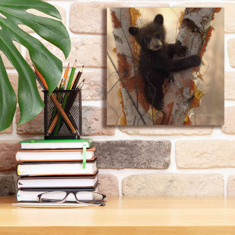 Art mural sur toile Millwood Pines «Curious Cub I» par Collin Bogle, H 12 po x l 12 po x P 0,75 po