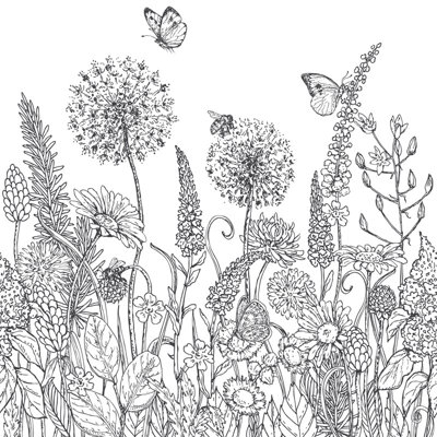 Cariveau 2.5m x 2.5m Matte Wallpaper Roll